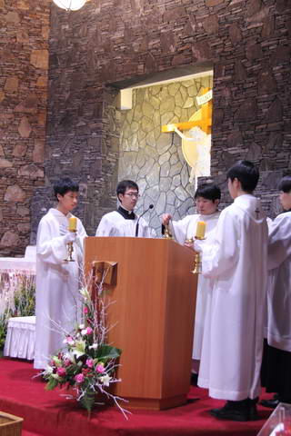 IMG_8981_resize.JPG